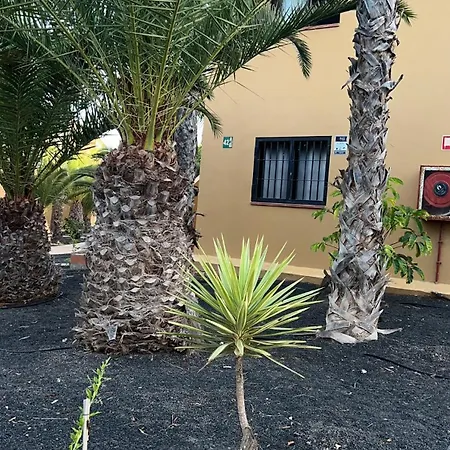 Casa Palma